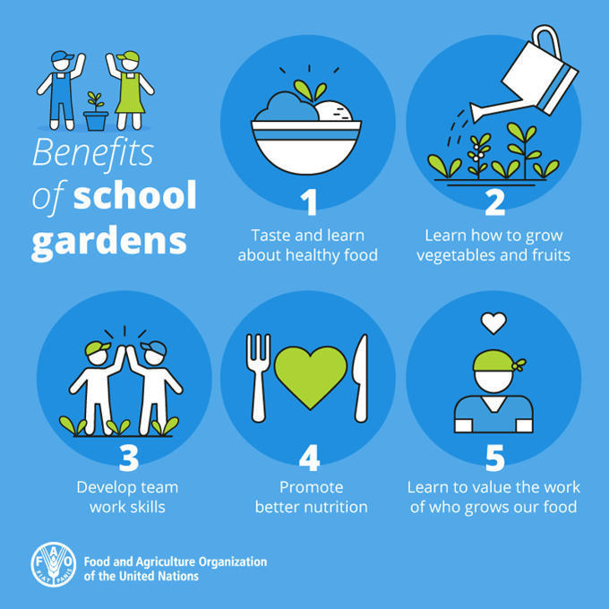 5 benefits of school gardens School Gardening...