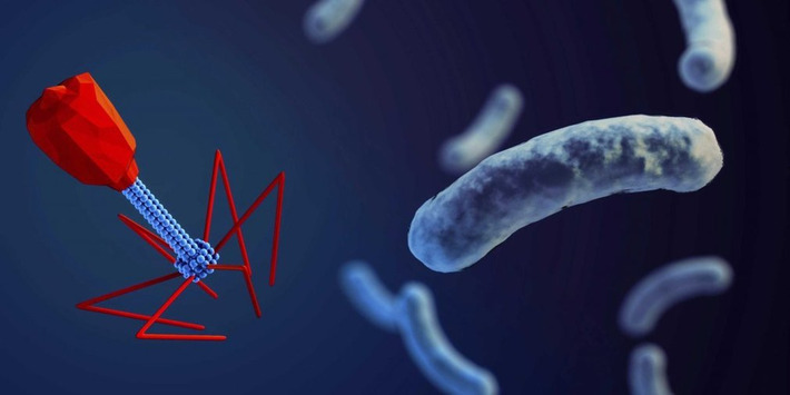 Here's why we may be treating illness with viruses in the near future | The Health Report | Scoop.it