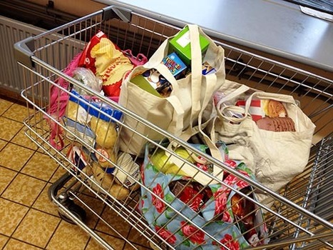 Banques alimentaires: qui sont les nouveaux pauvres? | Chronique des Droits de l'Homme | Scoop.it