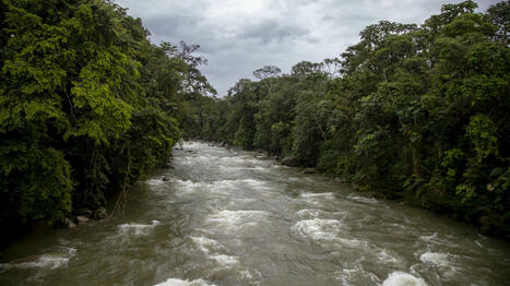 Equateur : fuite de pétrole et pollution du fleuve Napo, affluent de l'Amazone - RTBF Actus / le 28.06.2024 | Pollution accidentelle des eaux (+ déchets plastiques) | Scoop.it