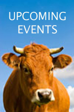 6 Communication Tips for Attracting and Keeping Top Talent | Hire Top Talent | Scoop.it