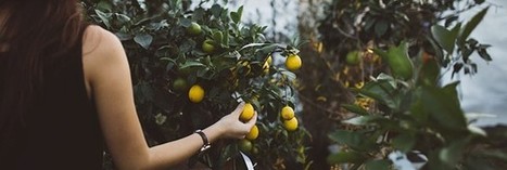 Agriculture urbaine et villes comestibles : l'avenir est-il sur les toits ? | INNOVATIONS | Scoop.it