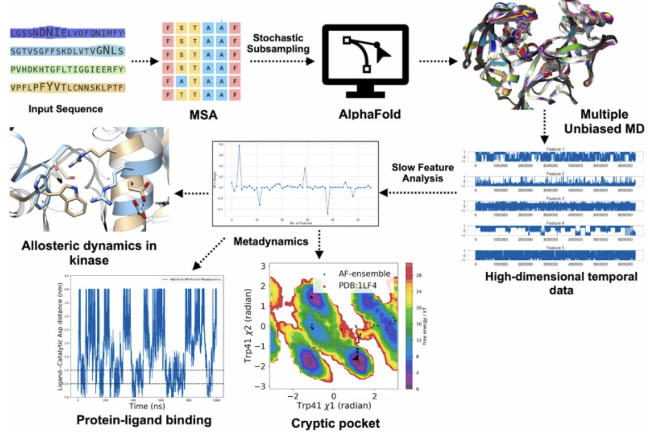 Harnessing AI to Decode Protein Kinases: Struct...