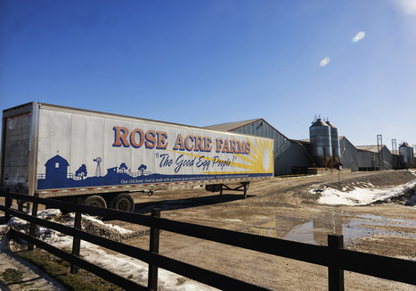 U.S. Conditionally Approves Vaccine to Protect Poultry from Avian Flu | Virus World | Scoop.it