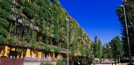 Les grandes villes, engag&eacute;es pour la biodiversit&eacute; v&eacute;g&eacute;tale | Nature en ville | Scoop.it