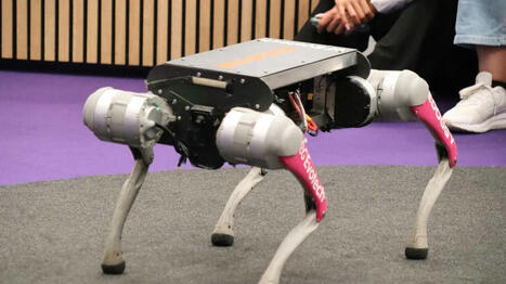Space 2025. Compter les moutons, rentrer les volailles… À Rennes, l’IA est aussi dans le pré - Ouest France [Abonnés] | Pour innover en agriculture | Scoop.it