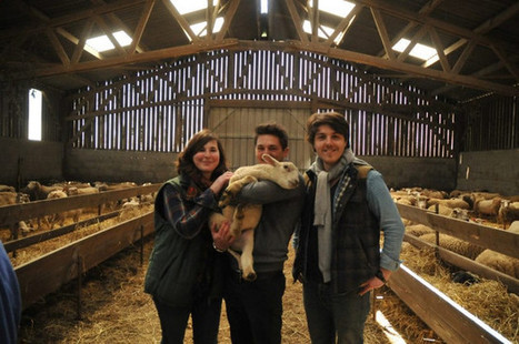 "Ah la vache !", de la viande percheronne livr&eacute;e &agrave; domicile - Le Perche | GREENEYES | Scoop.it