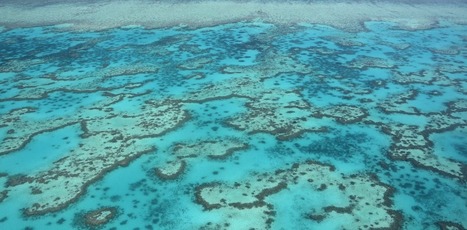 Our acid oceans will dissolve coral reef sands within decades | Futures Thinking and Sustainable Development | Scoop.it