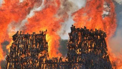 BBC - Future - What if all guns disappeared? | News for Discussion | Scoop.it