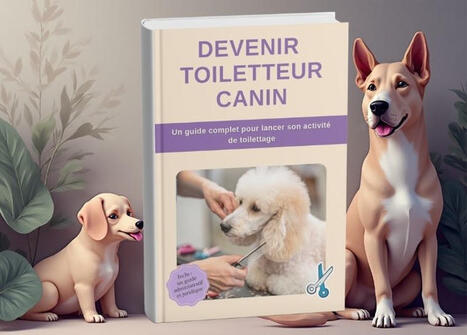 M&eacute;tier passion : comment devenir toiletteur canin &ndash; | Se reconvertir | Scoop.it