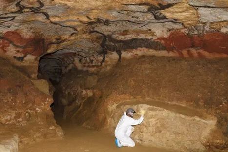 Un programme de recherche sur l’écologie microbienne de la grotte de Lascaux s'emploie à préciser le rôle de collemboles découverts sur les parois | EntomoNews | Scoop.it