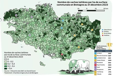 Bretagne, terre de lait | Lait de Normandie... et d'ailleurs | Scoop.it