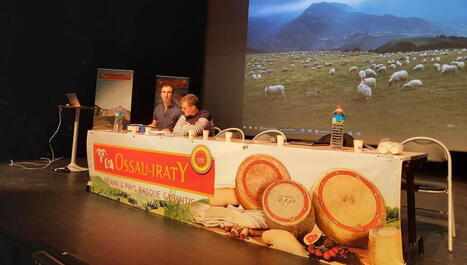 Pays Basque : première réunion sous tension à l'AOP Ossau-Iraty et polémique sur le prix du lait - ici | BABinfo Pays Basque | Scoop.it