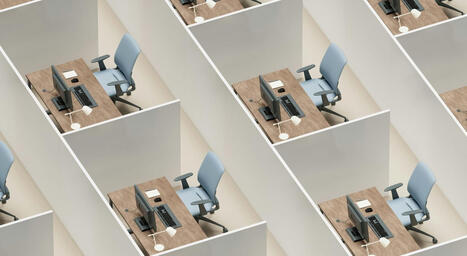 La &ldquo;muerte&rdquo; del internet humano: c&oacute;mo la IA est&aacute; degradando la red m&aacute;s all&aacute; del empleo | Educaci&oacute;n a Distancia y TIC | Scoop.it