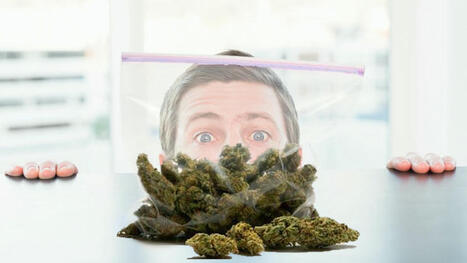 Is the Cannabis Industry Cooling Down or Just Holding Its Breath Right Now? | Cannabis.Net | Scoop.it