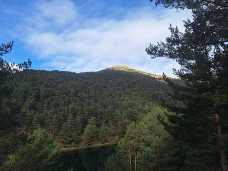 Meditaci&oacute;n y laicismo &ndash; Dominio p&uacute;blico | P&uacute;blico | Religiones. Una visi&oacute;n cr&iacute;tica | Scoop.it
