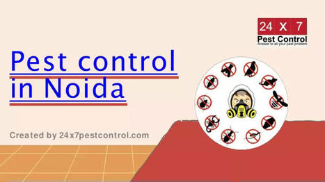 Pest control in Noida  | Pest Control Services | Scoop.it