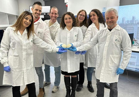3D bioprinted breast implants, is it an alternative ? | 3DM-Shop news | Scoop.it
