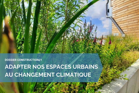 #16 - Les eaux pluviales : une ressource-clé pour adapter nos espaces urbains | Regards croisés sur la transition écologique | Scoop.it