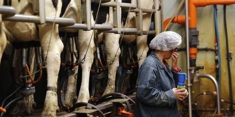 11 300 éleveurs de lait français indemnisés pour avoir réduit leur production | Le Fil @gricole | Scoop.it