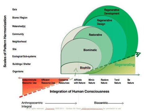 Stages in Human Regenerative Consciousness and Activity | P2P Foundation | Peer2Politics | Scoop.it