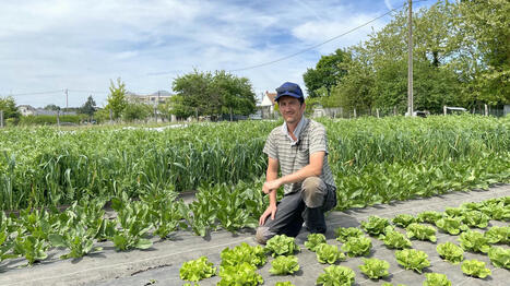 FRANCE : Pak choï, navets japonais, choux chinois... À Blois, l'essor des légumes asiatiques en circuit court | EUROPES | Scoop.it