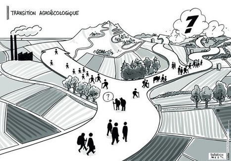 TATA-BOX : une bo&icirc;te &agrave; outils pour accompagner la transition agro-&eacute;cologique | PAYSAGE ET TERRITOIRES | Scoop.it