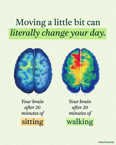 One secret everyone should know much sooner: The 20-minute walk rule | Thinking Clearly and Analytically | Scoop.it