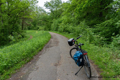 Balade à vélo à Strasbourg - Découverte de la nature strasbourgeoise (2h30) | Veille locale des Bibliothèques-Médiathèques de Metz | Scoop.it