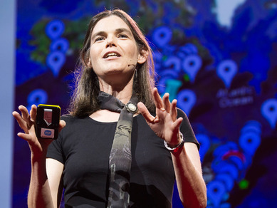 Daphne Koller: O que estamos aprendendo com a educação online (vídeo TED 20'41) | Inovação Educacional | Scoop.it