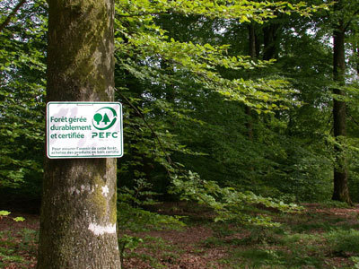 Bois certifié "écolo" : favoriser une gestion responsable des fôrets | Batiproduitsmaison.com | Build Green, pour un habitat écologique | Scoop.it
