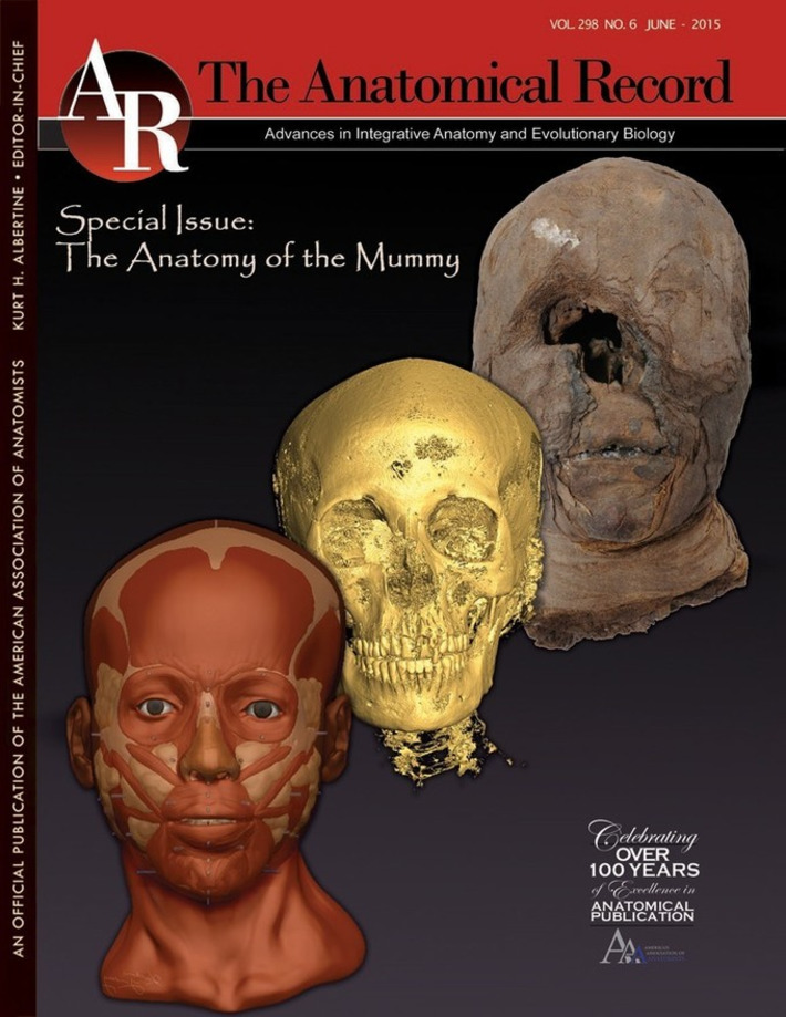 Ancient mummies meet modern medicine | Past Horizons | Kiosque du monde : A la une | Scoop.it