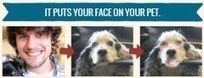 Montage photo : fusionnez votre visage avec celui d&rsquo;un animal | Retouches et effets photos en ligne | Scoop.it