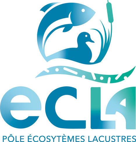 Atlas des diatom&eacute;es des plans d&rsquo;eau fran&ccedil;ais&nbsp; | Biodiversit&eacute; | Scoop.it