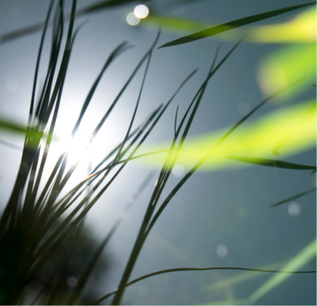 France 2030 : le CNRS et l&rsquo;IRD lancent un programme national de recherche sur l&rsquo;habitabilit&eacute; de la Terre | Territoires, transitions et innovations | Scoop.it