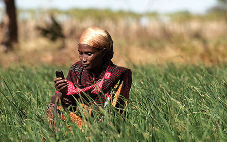 Zimbabwe : transformations technologiques dans l'agriculture | Questions de développement ... | Scoop.it