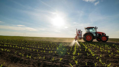 LEAK: Commission dismissive of food security fears in new pesticide study – EURACTIV.com | Phytosanitaires et pesticides | Scoop.it