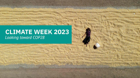 MENA : MEI CLIMATE Week 2023: Looking Toward COP28 | CIHEAM Press Review | Scoop.it