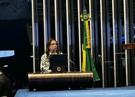 Em debate sobre PNE no Senado, Elizabeth Guedes propõe revisão do Sinaes para que avaliação foque na qualidade da aprendizagem | Inovação Educacional | Scoop.it