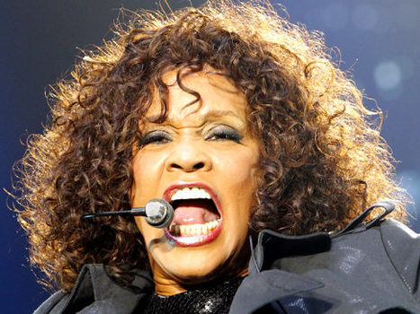 Top 2012 Searches Include Whitney Houston, Hurricane Sandy | Communications Major | Scoop.it
