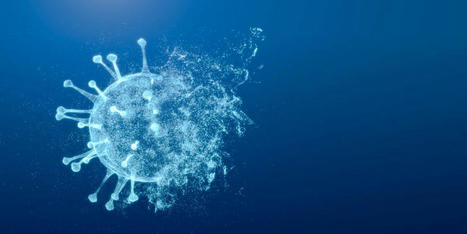 The SP1-77 Antibody   | dis.infected | Scoop.it