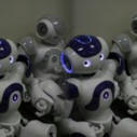 Robotique : quels sont les métiers amenés à disparaître avec la robotisation ? | La Gazette des abattoirs | Scoop.it