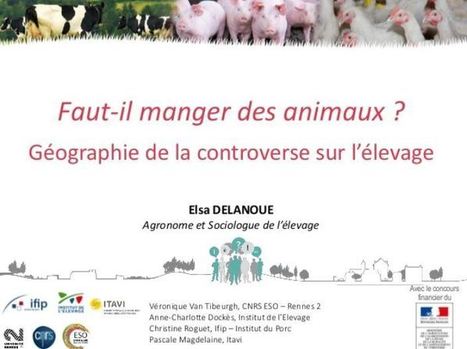 Perception de l’élevage par la société en France : analyse de la controverse sur l’élevage | Elevage et société | Scoop.it