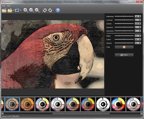 Convierte fotos en dibujos y caricaturas con XnSketch | TIC & Educación | Scoop.it