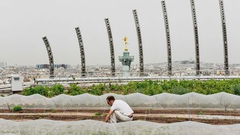 Réconcilier les urbains avec l'agriculture - Les Echos | Agriculture et communication positive | Scoop.it