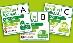 Vers un "nutriscore" du bien-être animal ? | Lait de Normandie... et d'ailleurs | Scoop.it
