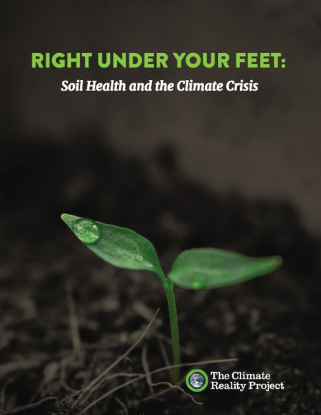 Right Under Your Feet: Soil Health and the Climate Crisis | Futures Thinking and Sustainable Development | Scoop.it