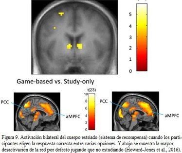 ¿Cuáles son las asignaturas más importantes para el cerebro? | NeuroPsicoEducación al Día | Scoop.it