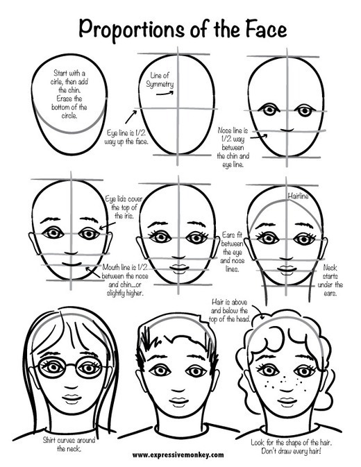 Proportions of the Face Drawing Reference Guide...