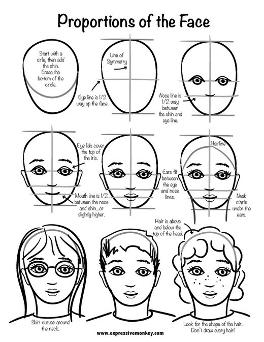 female face drawing proportions